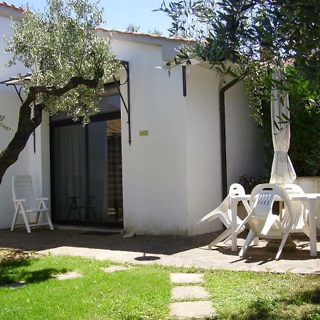 Podere Belvedere Cecina Cecina (Livorno) Exterior photo
