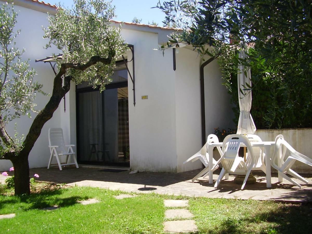 Podere Belvedere Cecina Cecina (Livorno) Exterior photo