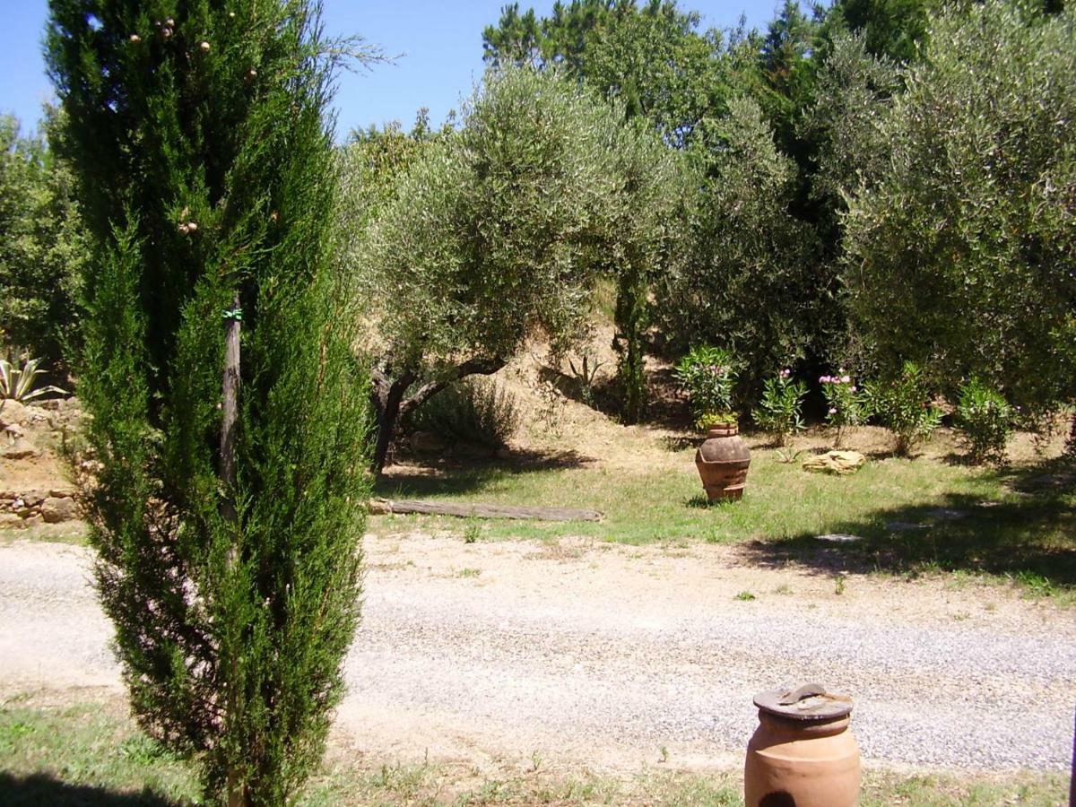Podere Belvedere Cecina Cecina (Livorno) Exterior photo